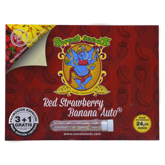 RED STRAWBERRY BANANA AUTO X3+1 SWEET SEEDS
