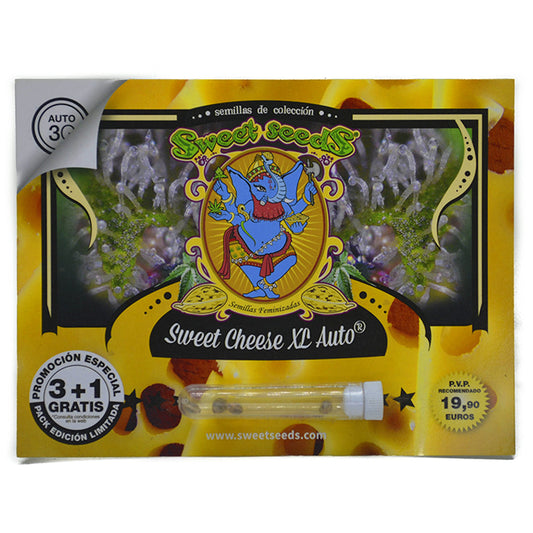 SWEET CHEESE XL AUTO 3+1 SWEET SEEDS