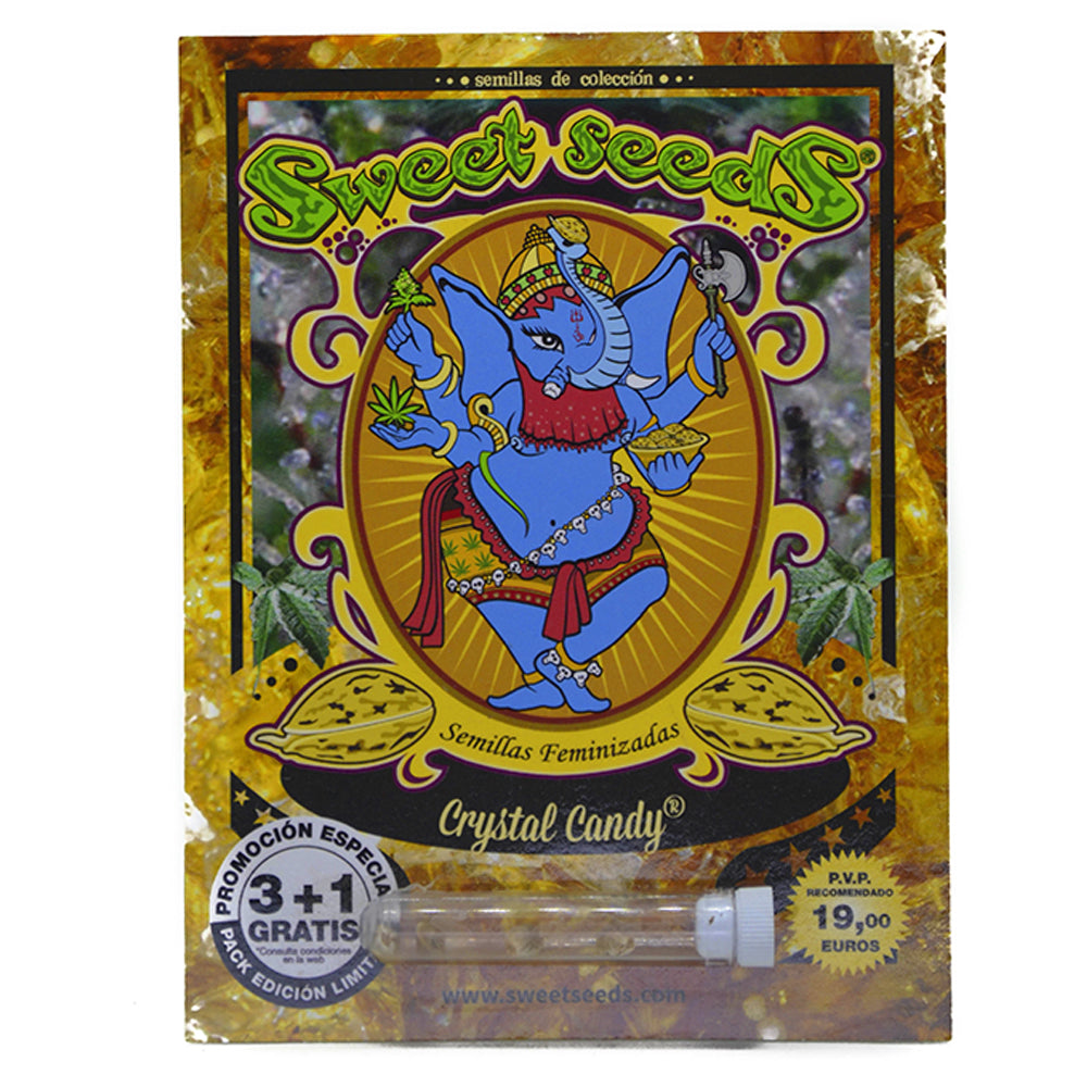 CRYSTAL CANDY FEM X3+1 - SWEET SEEDS-1