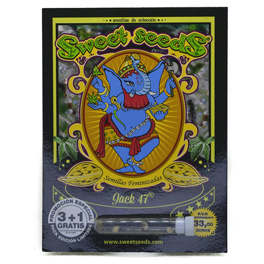 JACK 47 X3+1 FEM SWEET SEEDS