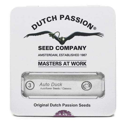 AUTO DUCK X3 DUTCH PASSION