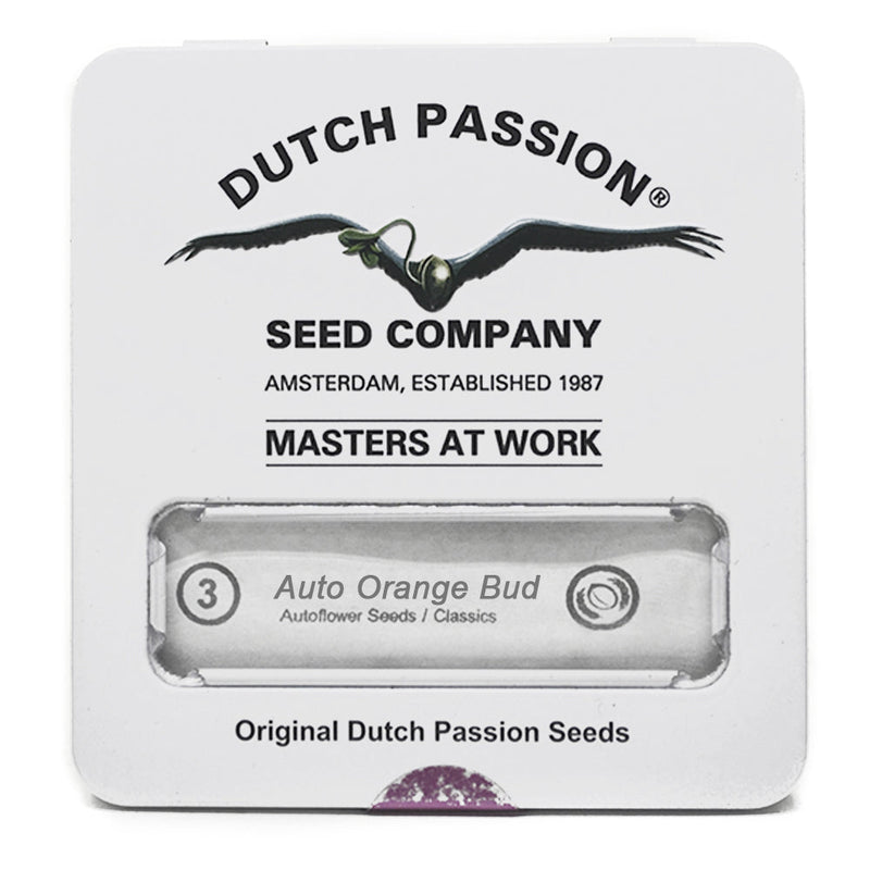 ORANGE BUD AUTO X3 - DUTCH PASSION-3