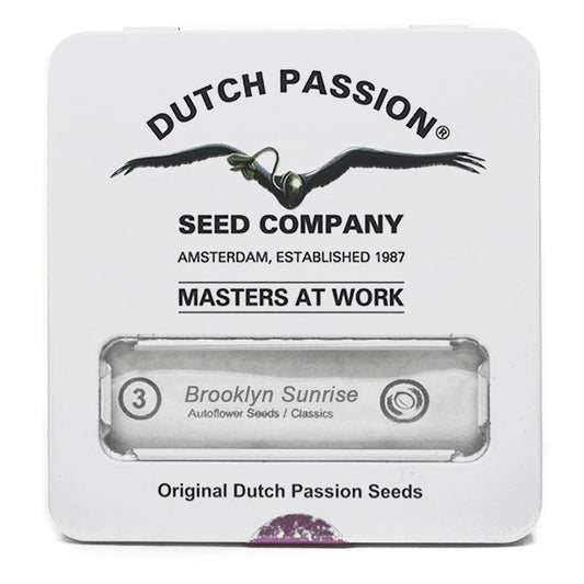 AUTO BROOKLYN SUNRISE X3 DUTCH PASSION