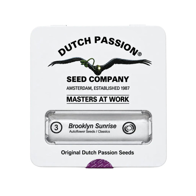 BROOKLYN SUNRISE AUTO X3 - DUTCH PASSION-3