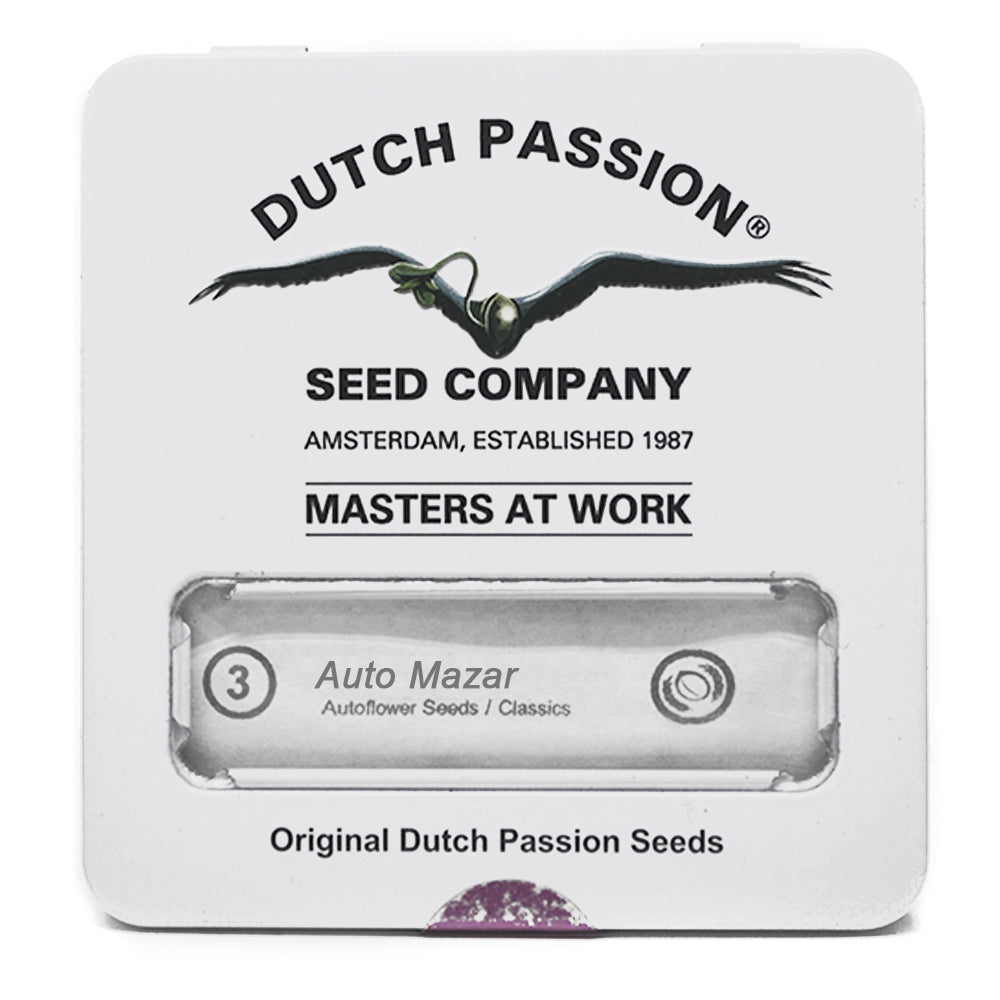 AUTO MAZAR X3 - DUTCH PASSION