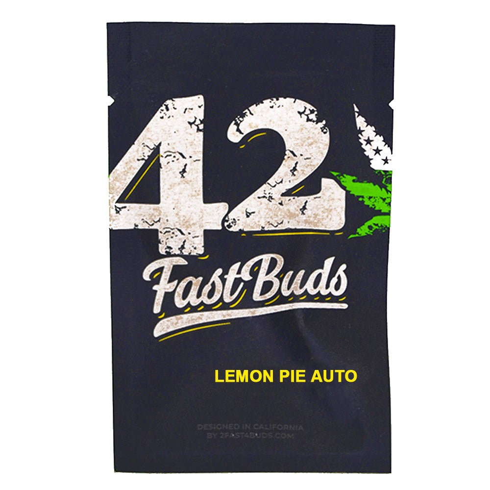 LEMON PIE AUTO X1 FAST BUDS