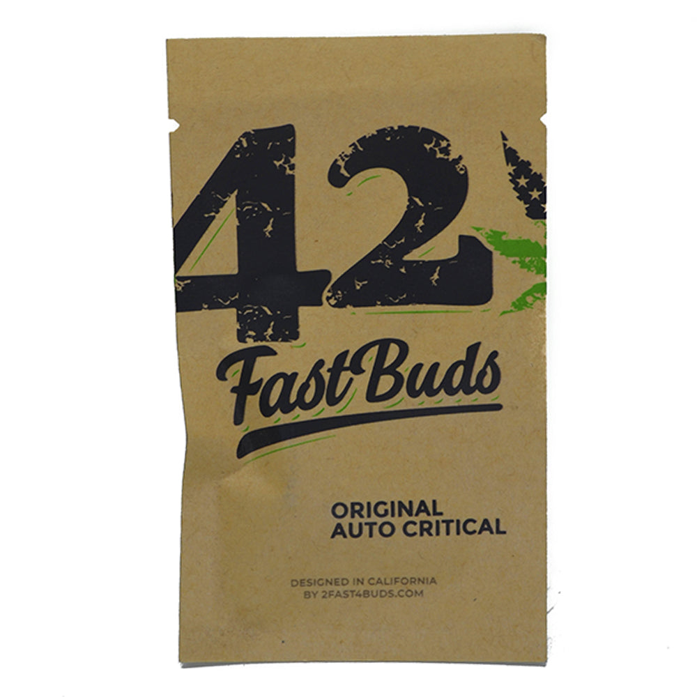 CRITICAL AUTO X1 FAST BUDS-1