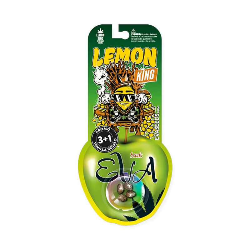 LEMON KING FEM X3+1 - EVA SEEDS-2