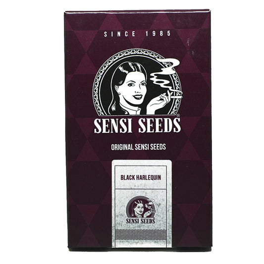 BLACK HARLEQUIN FEM X3 SENSI SEEDS