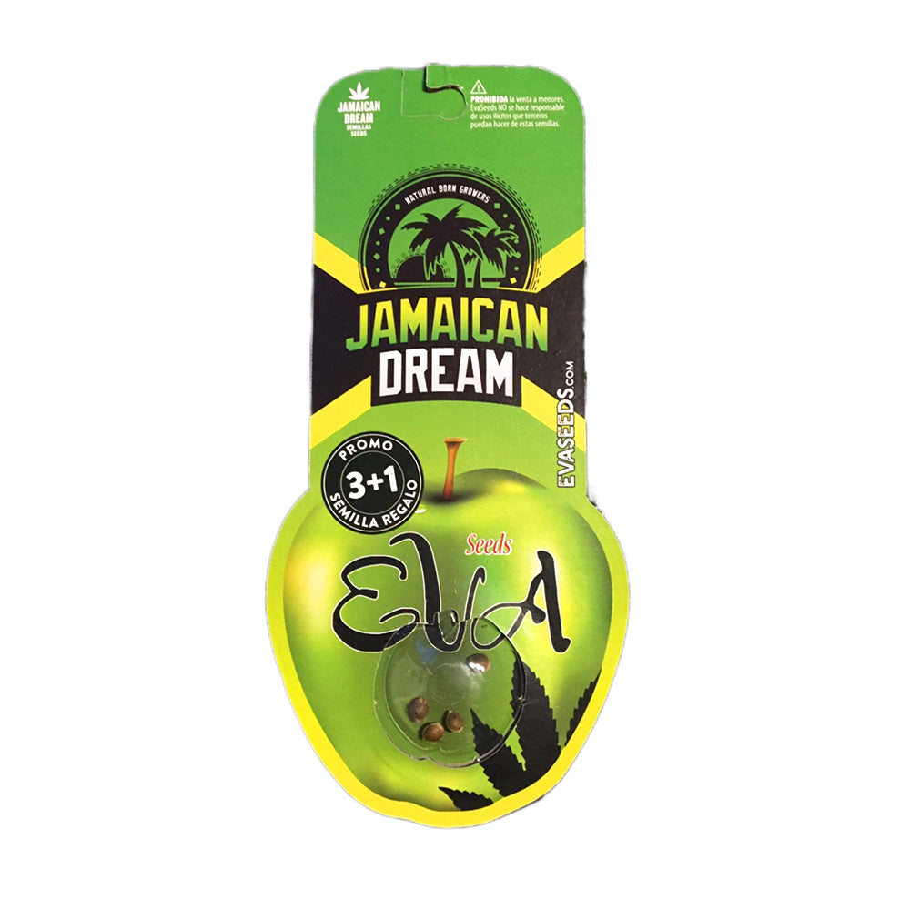 JAMAICAN DREAM X 3+1 FEM EVA SEEDS