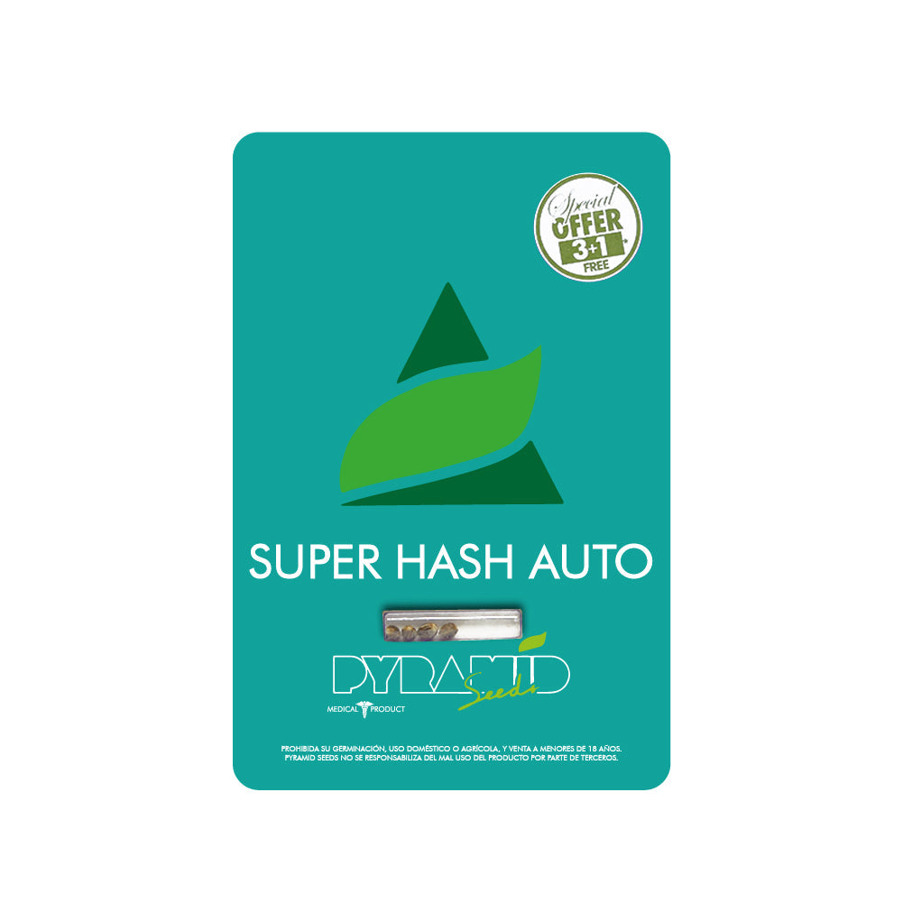 SUPER HASH AUTO 3+1 PYRAMID SEEDS
