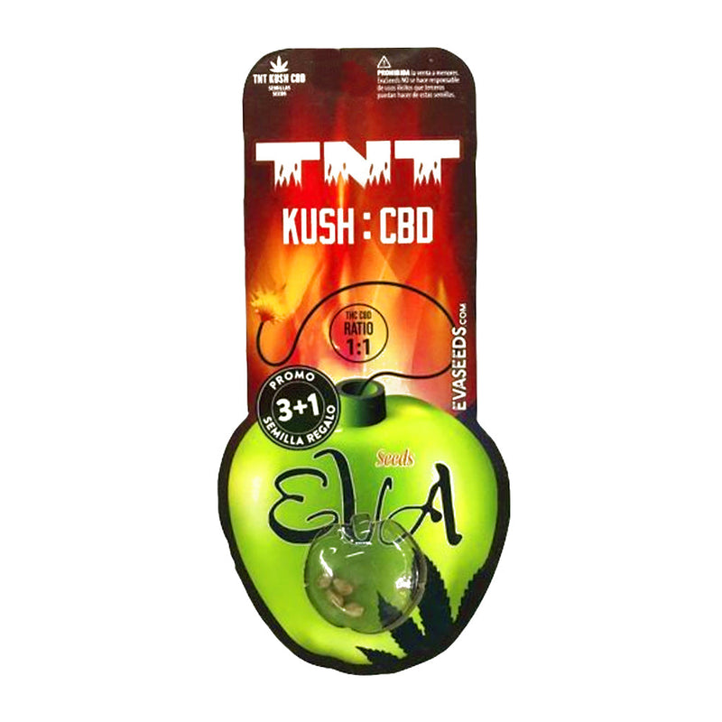 TNT KUSH CBD X3 FEM EVA SEEDS-2