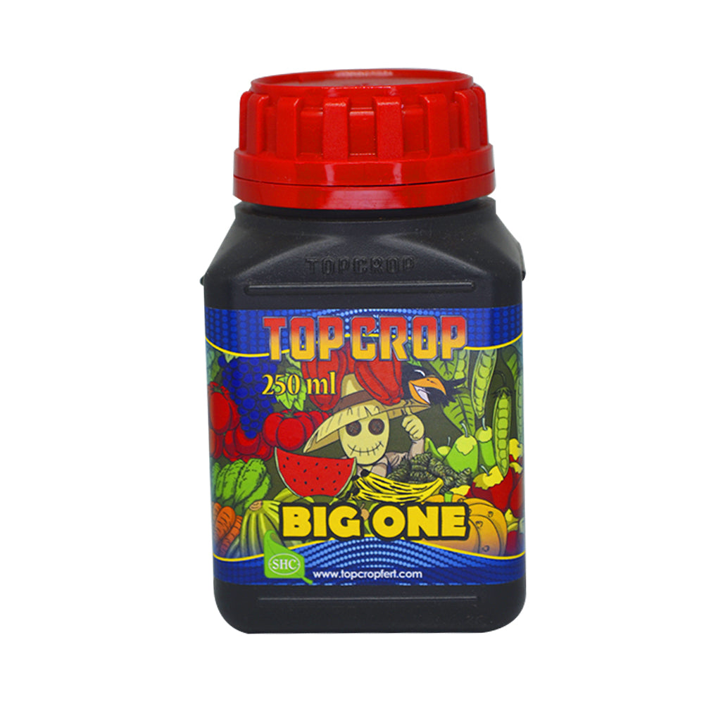 BIG ONE 250ML - TOP CROP