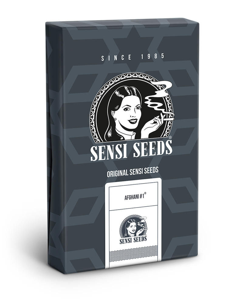 AFGHANI #1 AUTO X3 - SENSI SEEDS-2