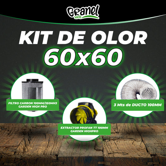 KIT OLOR 60X60