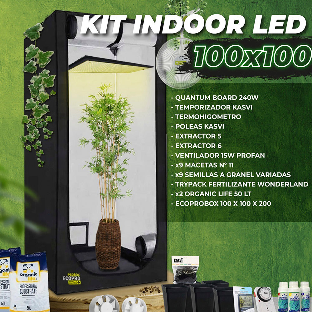 KIT INDOOR LED 100x100-1